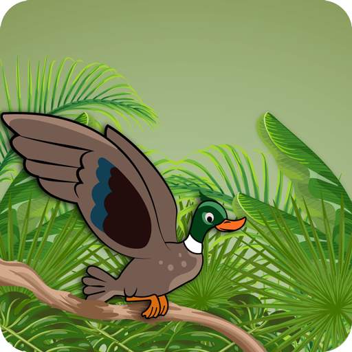 BumBomb Bird’s 1.4