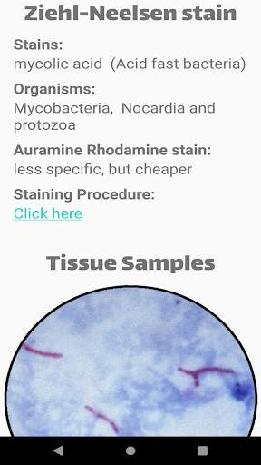 Bacteria Stains Lite screenshot 7