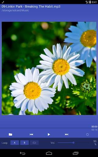 LRC Lyrics Player screenshot 8
