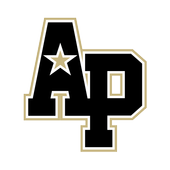 AP Browser icon