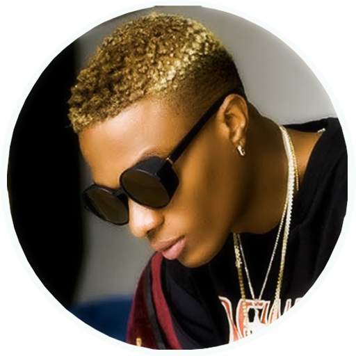🎵 Best Of Wizkid - Offline Music & Lyrics 1.1