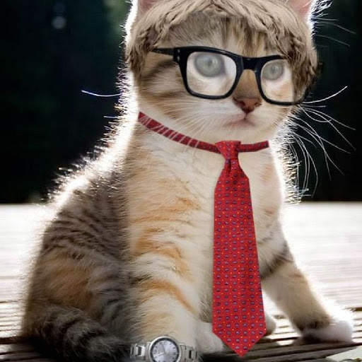Cat Game Funny Animals Jigsaw Puzzles 🧩🐈🧩🐾 screenshot 1