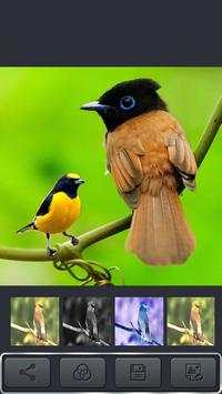 Cortar Pegar Photo Editor screenshot 6