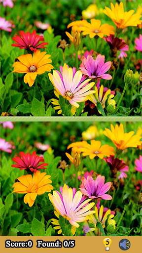 Find The Difference Photos Free screenshot 4