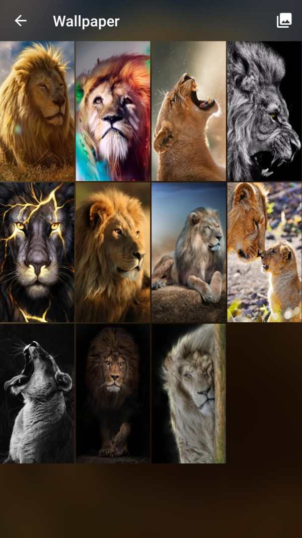Lion Pattern Lock Screen screenshot 6