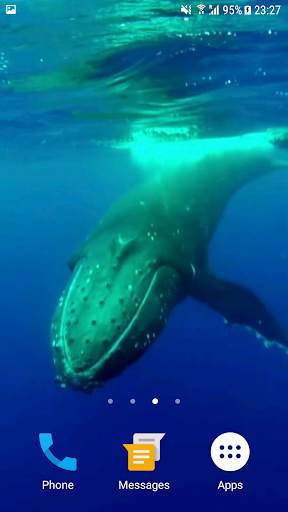 Whale HD Video Live Wallpaper screenshot 2