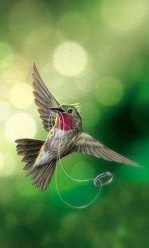 Birds Live Wallperpers स्क्रीनशॉट 2