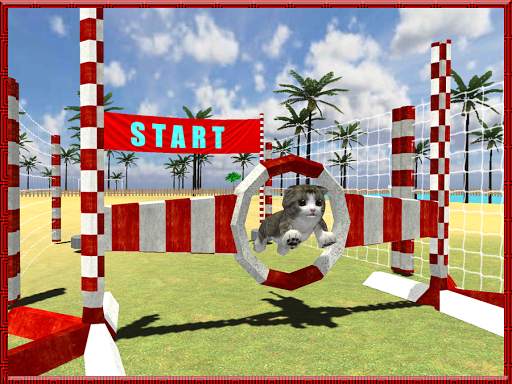 Cat Dog Pets Beach Stunts Sim screenshot 6