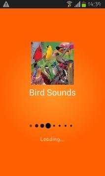 Bird Sounds screenshot 1