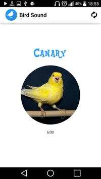 Bird Sounds screenshot 6