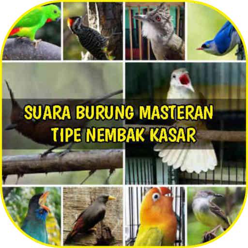 Audio Masteran Burung Tipe Nembak Kasar 1.4