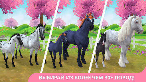 Star Stable Horses скриншот 2