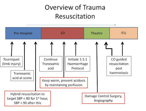 iCU Notes - Critical Care screenshot 2