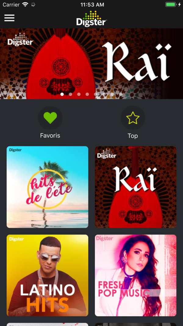 DIGSTER MAROC -MUSIC screenshot 4
