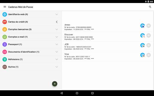 Cadenas Mot de Passe screenshot 8