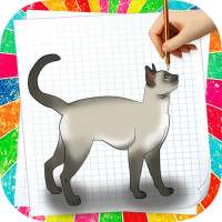 How to Draw Cat
