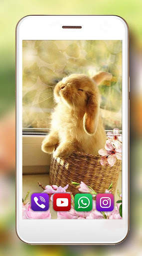 Bunny Fluffy Live Wallpaper screenshot 5