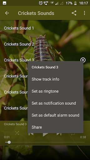 Crickets Sounds screenshot 2