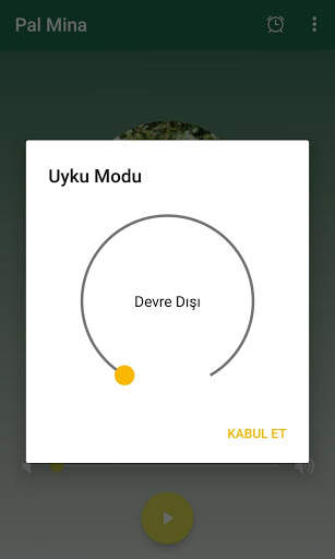 Pal Mina screenshot 3