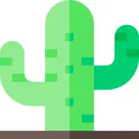 Cactus Sprint