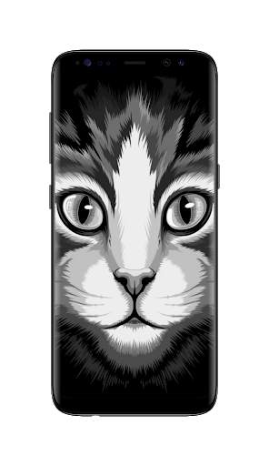 Black and White Wallpaper HD screenshot 3