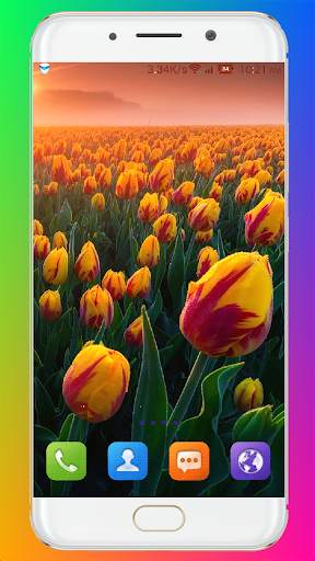 Tulip Wallpaper HD screenshot 5