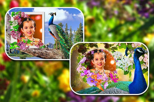 Peacock Photo Frames screenshot 10
