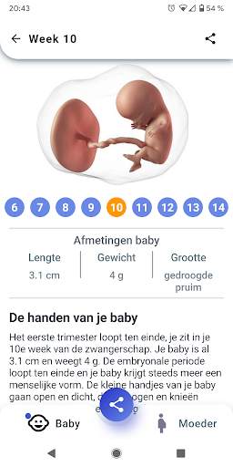 Zwangerschap - Week tot Week screenshot 2