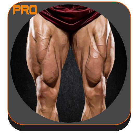 Legs Workout 1.0