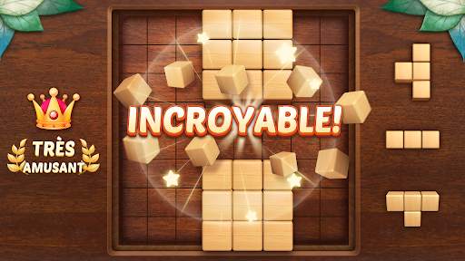 Bloc Puzzle en bois 3D screenshot 2