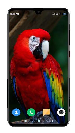 Bird Wallpaper 4K screenshot 5