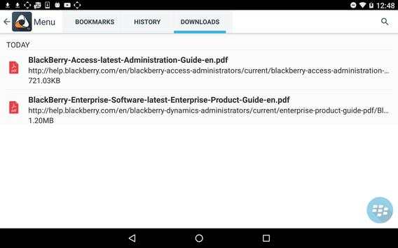 BlackBerry Access screenshot 14