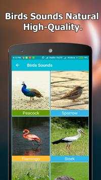 Animal and Bird Sounds Offline screenshot 8