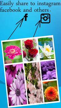 Star Camera screenshot 6