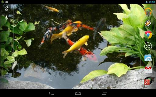 Magic Touch: Realistic Koi Live Wallpaper screenshot 6