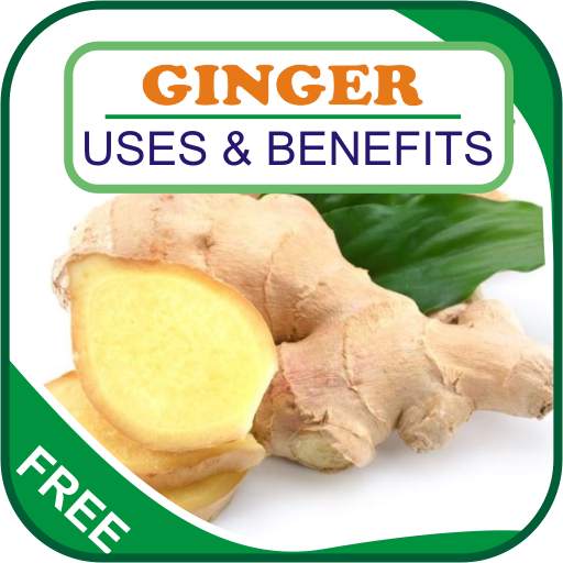 Ginger Uses & Benefits 1.3