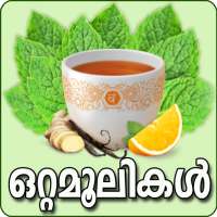 Ottamoolikal-Malayalam icon