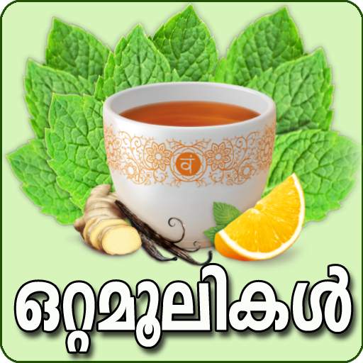 Ottamoolikal-Malayalam 8.1