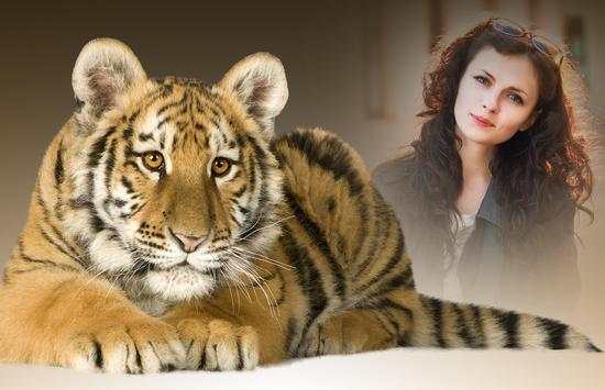 Tiger Photo Frames screenshot 2