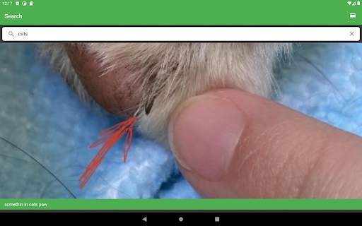 Imgur Browser screenshot 17