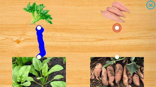 Fruits and Vegetables for Kids - Flashcards Puzzle скриншот 7