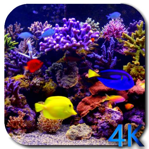 Aquarium 4K Video Wallpaper 3.0