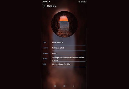 Music Player & Audio Player screenshot 13
