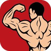 Back Workout – V Shape Workout 1.0