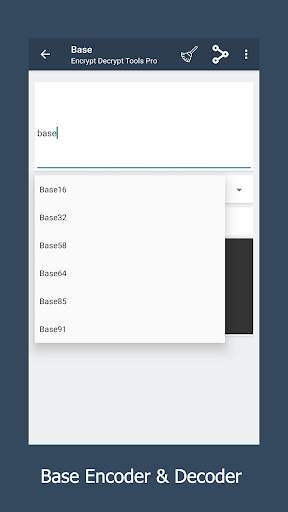 Encrypt Decrypt Tools screenshot 2