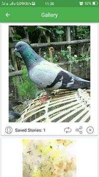 WA Save Status screenshot 4