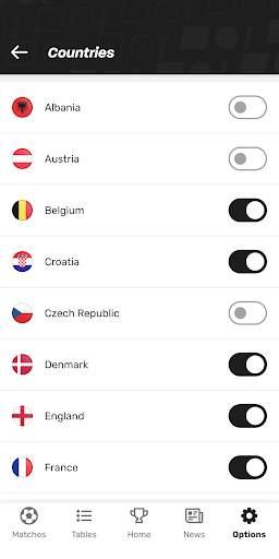 European Championship App 2024 screenshot 8