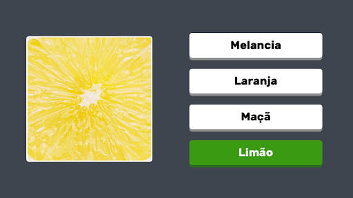 Zoom Quiz: Jogo de Imagens screenshot 7