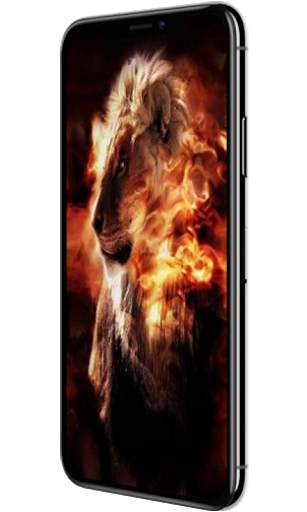 Roaring Fire Lion Lock Lock Screen, Lion wallpaper screenshot 4