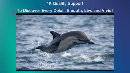 GoPlayer - Multiple videos 5G player all format screenshot 3